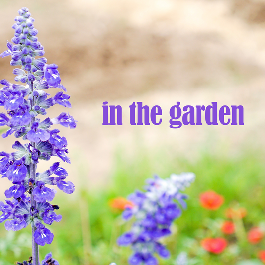 OOI-"In The Garden": 10 Minute Guided Meditation With Biblical Insight & Inspiration
