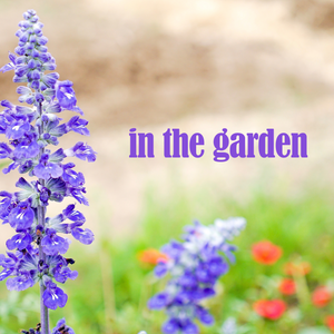 OOI-"In The Garden": 10 Minute Guided Meditation With Biblical Insight & Inspiration -FREE for limited time.
